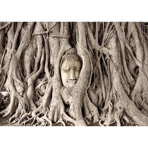 Vlies-fotobehang Buddhas Tree premium vlies - bruin - 300 x 210 cm