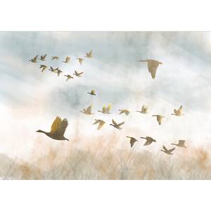 Vlies Fototapete Golden Geese Premium Vlies - Mehrfarbig - 100 x 70 cm