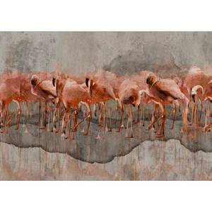 Papier peint intissé Flamingo Lake Papier peint en intissé premium - Rose - 200 x 140 cm