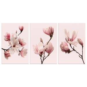 Quadro Spring Magnolias (3) Tela - Rosa