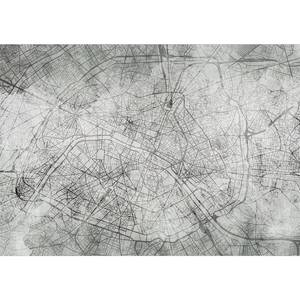 Papier peint intissé Parisian Fresco Intissé premium - Noir / Blanc - 250 x 175 cm