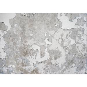 Fotomurale Greek Frescoes Tessuto non tessuto premium - Grigio - 100 x 70 cm