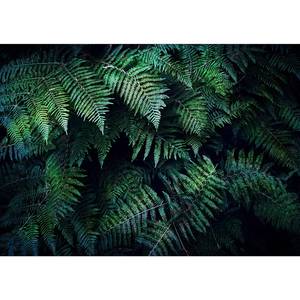 Vlies-fotobehang In The Thicket premium vlies - groen - 450 x 315 cm