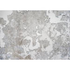 Vlies Fototapete Greek Frescoes Premium Vlies - Grau - 400 x 280 cm