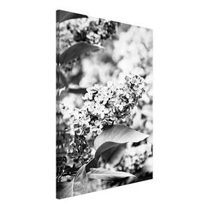 Tableau déco Monochrome Lilac Toile - Noir / Blanc