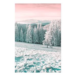 Wandbild Severe Winter Leinwand - Mehrfarbig