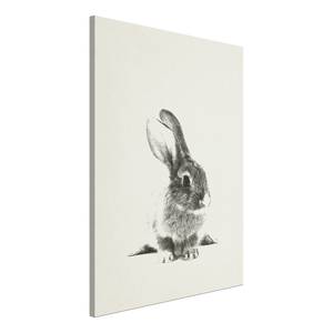 Afbeelding Fluffy Bunny canvas - grijs