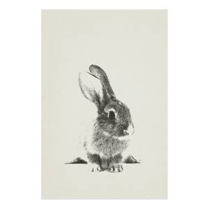 Wandbild Fluffy Bunny Leinwand - Grau