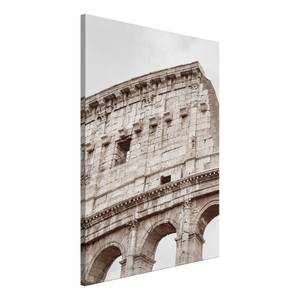 Afbeelding Colosseum canvas - bruin