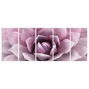 Tableau déco Agave (5 éléments) Toile - Rose - 200 x 80 cm