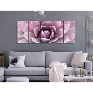 Wandbild Agave (5-teilig) Leinwand - Pink - 225 x 90 cm