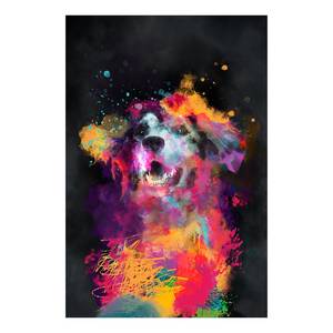 Tableau déco Dogs Joy Toile - Multicolore - 40 x 60 cm