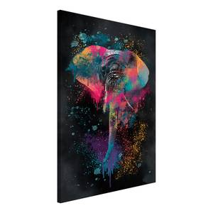 Tableau déco Colorful Safari Toile - Multicolore - 80 x 120 cm