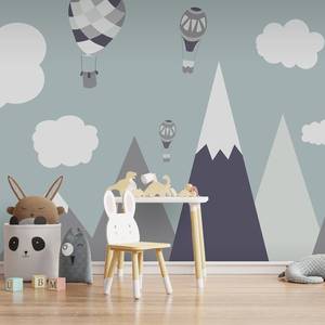 Papier peint intissé Balloon Land Papier peint en intissé premium - Gris - Largeur : 450 cm