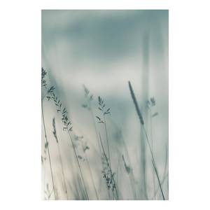 Quadro Tall Grasses Tela - Grigio - 60 x 90 cm