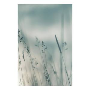 Tableau déco Tall Grasses Toile - Gris - 80 x 120 cm