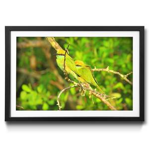 Quadro con cornice Green Birds Abete / Vetro acrilico