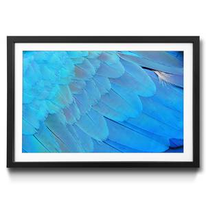 Gerahmtes Bild Bird Feathers Fichte / Acrylglas