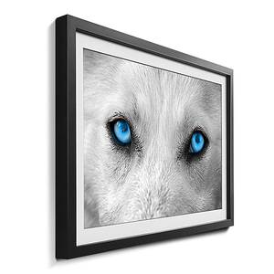 Gerahmtes Bild Faithful Schwarz - Blau - Weiß - Glas - Papier - Massivholz - Holz teilmassiv - 64 x 44 x 2.2 cm