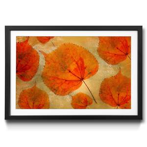 Gerahmtes Bild Colorful Fall Fichte / Acrylglas - Orange / Gelb