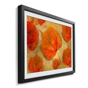 Quadro con cornice Colorful Fall Abete / Vetro acrilico - Arancione / Giallo
