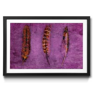 Ingelijste afbeelding Feathers Purple sparrenhout/acrylglas - bruin/lila