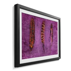 Quadro con cornice Feathers and Purple Abete / Vetro acrilico - Marrone / Viola