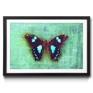 Quadro con cornice Gloomy Butterfly Abete / Vetro acrilico - Turchese / Marrone