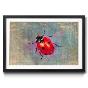 Tableau déco Ladybug Épicéa / Plexiglas - Rouge / Turquoise