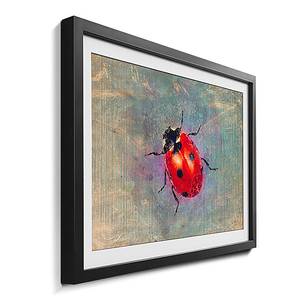 Gerahmtes Bild Ladybug Fichte / Acrylglas - Rot / Türkis