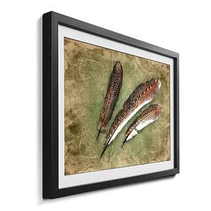 Quadro con cornice Feather of Pheasant Abete / Vetro acrilico - Multicolore