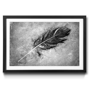 Tableau déco Beautiful Feather Épicéa / Plexiglas - Noir / Blanc