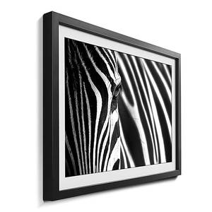 Ingelijste afbeelding Animal Stripes sparrenhout/acrylglas - zwart/wit