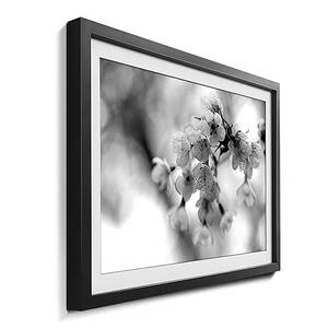 Ingelijste afbeelding Cherry Blossoms sparrenhout/acrylglas - zwart/wit