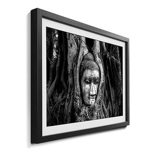 Gerahmtes Bild Deep Rooted Fichte / Acrylglas - Schwarz / Weiß