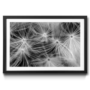 Ingelijste afbeelding Dandelion sparrenhout/acrylglas - zwart/wit