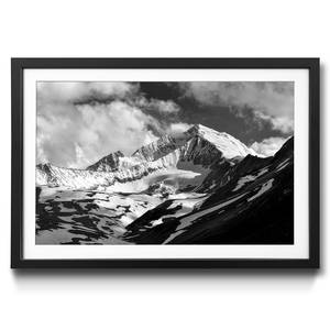 Gerahmtes Bild Himalaya Fichte / Acrylglas - Schwarz / Weiß