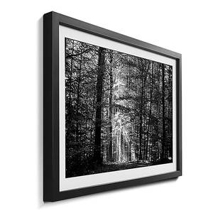 Quadro con cornice Into The Forest II Abete / Vetro acrilico - Nero / Bianco