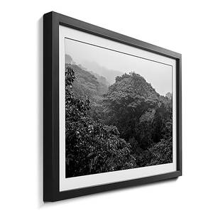 Ingelijste afbeelding Jungle sparrenhout/acrylglas - zwart/wit