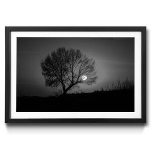 Quadro con cornice Tree Sunset Abete / Vetro acrilico - Nero / Bianco