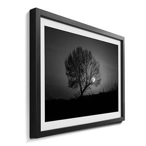 Quadro con cornice Tree Sunset Abete / Vetro acrilico - Nero / Bianco