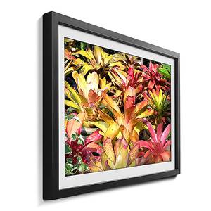 Quadro con cornice Powerful Plants Abete / Vetro acrilico