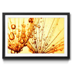 Ingelijste afbeelding Dandelion Seed sparrenhout/acrylglas