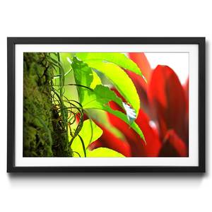 Gerahmtes Bild Red Green Nature Fichte / Acrylglas - Grün / Rot