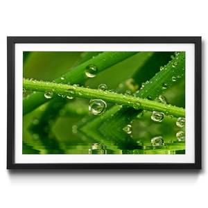 Gerahmtes Bild Water Drops Fichte / Acrylglas