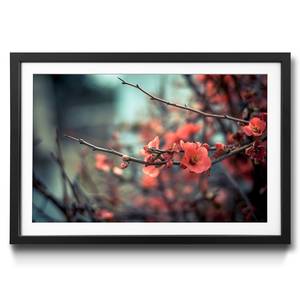 Quadro con cornice Pink Blossom Abete / Vetro acrilico