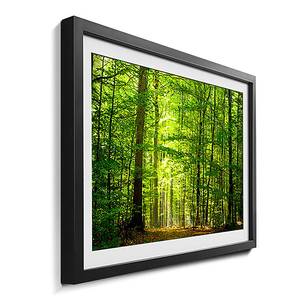 Tableau déco Into The Forest Vert - Verre - Papier - Bois massif - En partie en bois massif - 64 x 44 x 2.2 cm