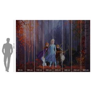 Fotobehang Frozen Autumn Glade Meerkleurig - Andere - 400 x 280 x 0.1 cm