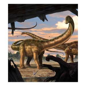 Papier peint Seismosaurus Multicolore - Autres - 250 x 280 x 0.1 cm