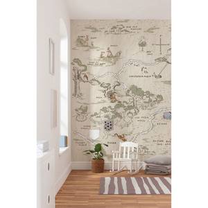 Fotobehang Winnie the Pooh Map Meerkleurig - Andere - 200 x 240 x 0.1 cm